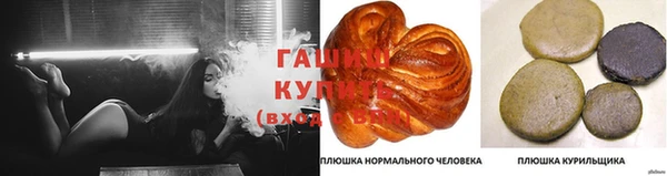 Альфа ПВП Бородино