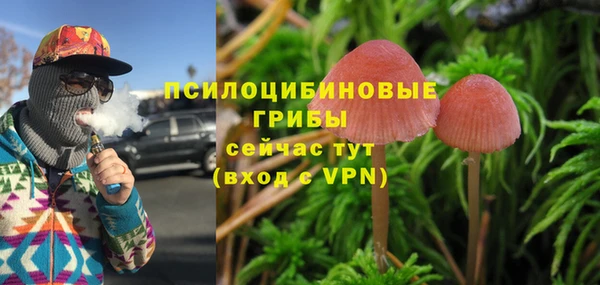 Альфа ПВП Бородино