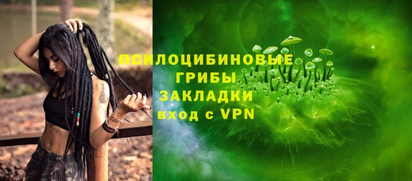 Альфа ПВП Бугульма